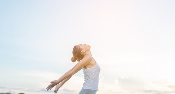 We are very excited to bring you lux Turkish area rugs...